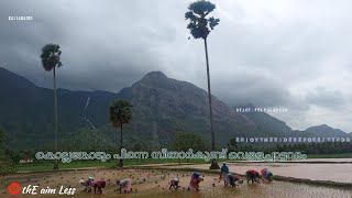 beautiful kollangode and seethar kundu waterfalls @ palakkad🙂/ സീതാർകുണ്ട് വെള്ളച്ചാട്ടം⛰️🥰