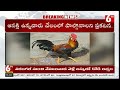 karimnagar rtc depot auction fighter cock ఆర్టీసీ బస్సులో దొరికిన పందెం కోడి.. నేడు వేలం 6tv