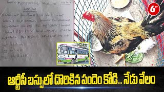 Karimnagar RTC Depot Auction Fighter Cock : ఆర్టీసీ బస్సులో దొరికిన పందెం కోడి.. నేడు వేలం | 6TV