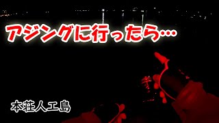 本荘人工島へアジ調査に行きました 12/9