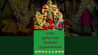 கந்தன் பாதம் கனவிலும் காக்கும் #முருகன்பக்திபாடல்கள் #முருகன்பாடல்கள்#murugan  #youtubevideo