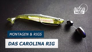 Das Carolina Rig - Nippon Tackle Montagen \u0026 Rigs