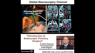 Introduction to Endoscopic Pituitary Surgery