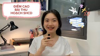 TIPS LẤY ĐIỂM CAO BÀI THU HOẠCH SHCD/ Những điều cần biết