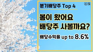 23년 분기배당주 투자해볼만한 종목은? ㅣ 배당수익율 up to 8.6%