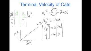 Terminal Velocity of Cats Inquiry
