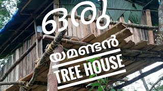 വീട്ടിലൊരു ഏറുമാടം/ Tree House