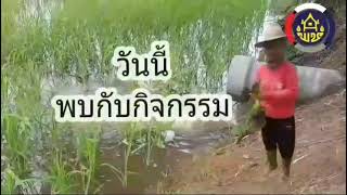 โคกหนองนา พช.อำนาจเจริญ กิจกรรมเอามื้อสามัคคี แปลงนายธีรวัฒน์ พันธุมาศ