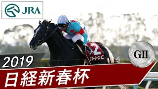 2019年 日経新春杯（GⅡ） | グローリーヴェイズ | JRA公式