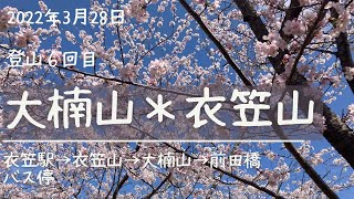 【大楠山】2022年3月28日　６回目の登山。約半年ぶりの登山なのでハイキングで足ならし。。。のはずが、最後にキツい階段が。衣笠山の２０００本の桜は最高でした。