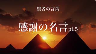 【名言朗読】感謝の名言pt.5 賢者の言葉