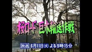 【予告編】プロジェクトX 第089回「桜ロード 巨木輸送作戦」