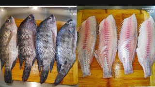 மீன் தோலை உரிப்பது எப்படி/#Fishcleanigvideo #Tilapiafish #Fish cleaning #Fish #Tilapia