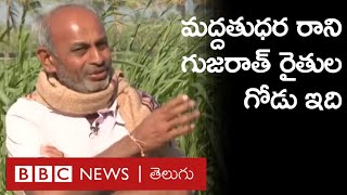 Gujarat Farmers: నాణ్యత లేదంటూ మద్దతు ధర నిరాకరణ.. ఇలాగైతే ఎలా బతకాలంటున్న వేరుశనగ రైతులు