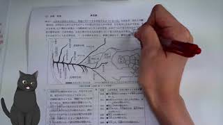 2014(H26)都立社会大問４解説（小川）