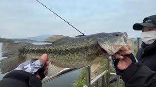 냉풍 vs 강풍 !!! 초심으로~ ! [Bassfishing]