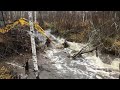 epic 3 beaver dam removal in estonia and 6 month follow up