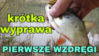 Pierwsze łowienie ryb na stawie w lesie, pierwsze wzdręgi! krótka, wieczorna wyprawa!