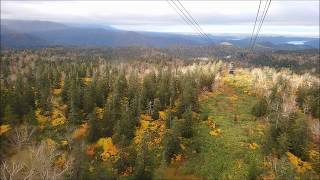 大雪山旭岳ロープウェイ紅葉空中散歩