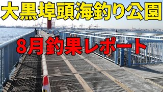 8月の大黒埠頭で釣れる魚はこれだ！！「あなたの釣果教えて下さい！！！」