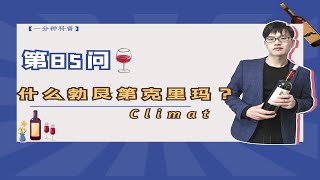 真精髓！酒标上有葡萄园名酒更牛，勃艮第独特的Climat文化