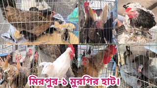 94 Mirpur 1 chicken hat। বাচ্চা সহ দেশি মুরগি। দেশি মুরগিতে ভরপুর। ফেন্সি মুরগি । BD Chasi Agro।