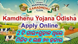 KAMADHENU YOJANA APPLY ONLINE ODIA ✅ HOW TO APPLY KAMADHENU YOJANA ✅ kemet kamadhenu paisa miliba🐄