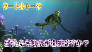 どうしたら彼女が出来ますか？【タートルトーク】東京ディズニーシー