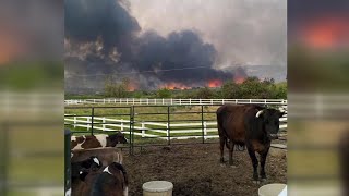 Austin business gets virtually cheesy to help West Coast cheesemakers impacted by fires