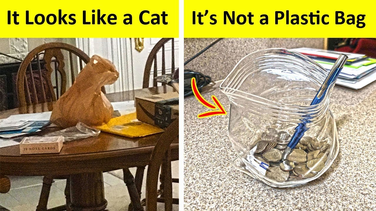 Things You Have To Look Twice To Understand What They Really Are New