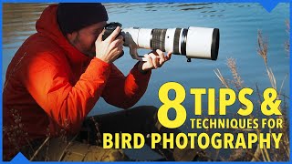 Elevate your bird photography with these 8 tips and techniques