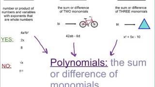 Classifying Polynomials (14-1)