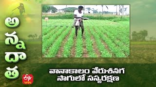 వానాకాలం వేరుశనగ సాగులో సస్యరక్షణ | ETV Telugu