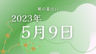 【2023年5月9日】めざまし占いとゴーゴー星占い☆