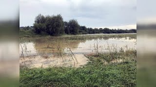 Негода на Коломийщині: яка ситуація у Матеївецькій ТГ