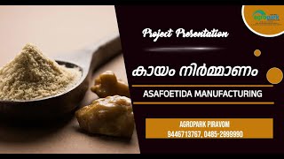 കായം നിർമ്മാണം... Asafoetida Manufacturing... Project Presentation-