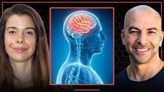 The link between cardiorespiratory fitness and brain health | Rhonda Patrick and Peter Attia