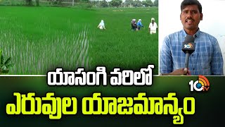 యాసంగి వరిలో ఎరువుల యాజమాన్యం | Fertilizer management in Yasangi Paddy | Matti Manishi | 10TV