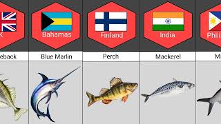 National Fish from different countries