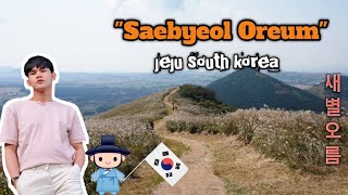 Lets take a rest in Saebyeol Oreum 새별오름 jeju south korea♡