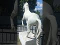 Beautiful Horse Statue  | Stunning Equestrian Beauty