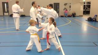 GKR Karate Region 9 Open Seniors Class