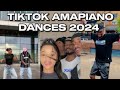 Best of Amapiano Dance Challenges 2024