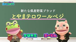 「新たな県産野菜ブランド　とやまテロワールベジ」教えて！ケロ先生 #65（2024年11月6日放送分）