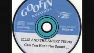 Ellis & The Angry Teens-Teenage Rockabilly Alcoholic