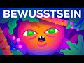 Wie entstand unser Bewusstsein? (feat. Simplicissimus)