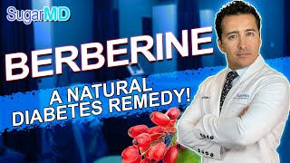 Does Berberine Really Help Control Blood Sugar? Dump Metformin?