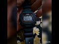 Casio Dw-290