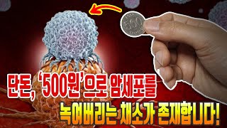 단돈 '500원'으로 암세포를 녹여버리는 채소가 존재합니다!