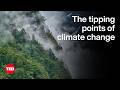 The Tipping Points of Climate Change — and Where We Stand | Johan Rockström | TED